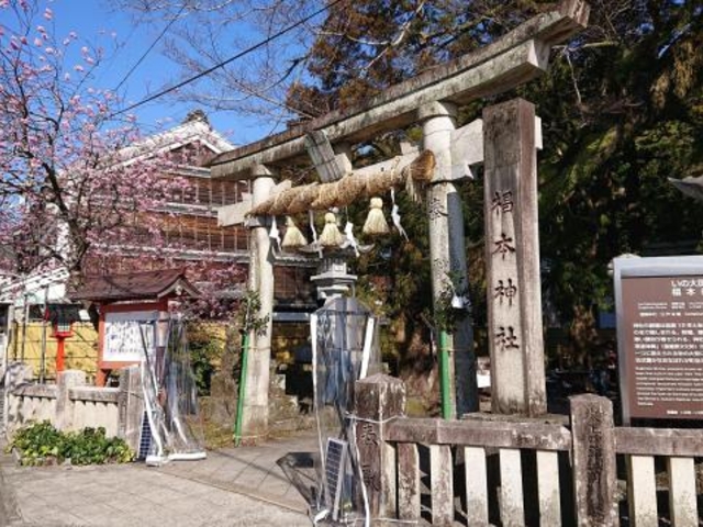 椙本神社(いの大国さま)