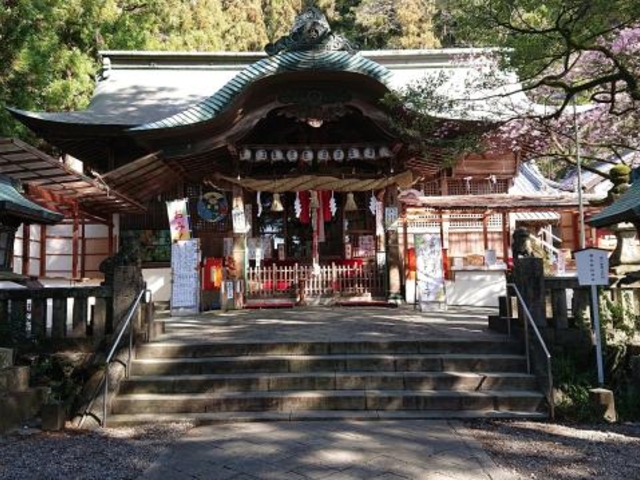 椙本神社(いの大国さま)