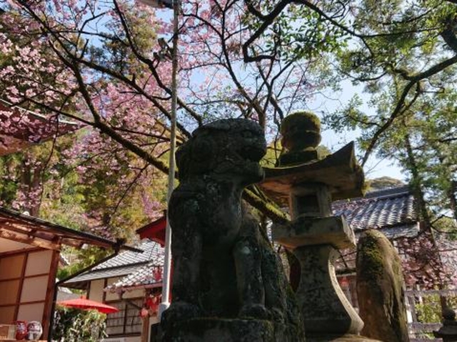 椙本神社(いの大国さま)
