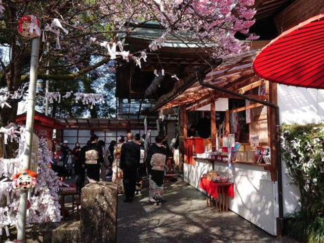 椙本神社(いの大国さま)