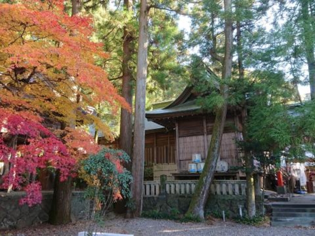 椙本神社(いの大国さま)