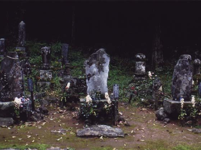 月光山 天徳寺の写真1