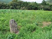 炭焼古墳群の写真1