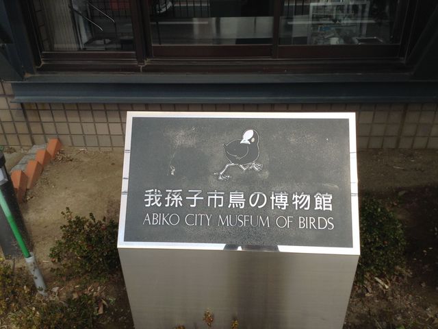我孫子市 鳥の博物館