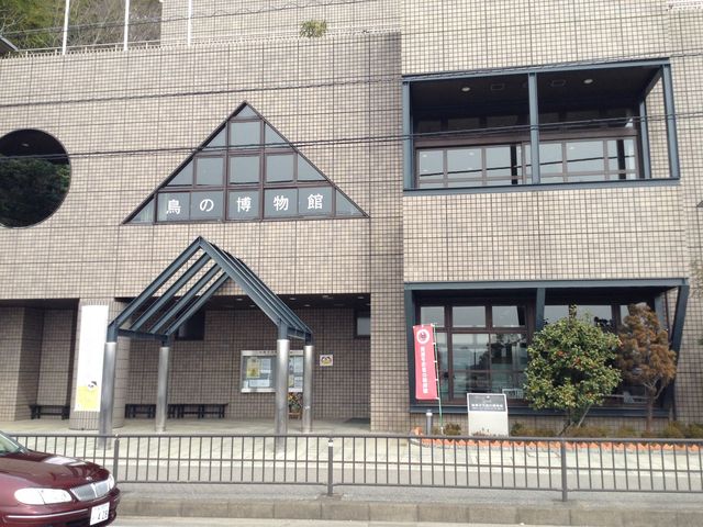 我孫子市 鳥の博物館