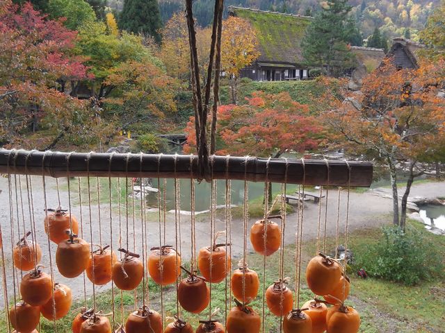 干し柿など四季折々の山里の風景をお楽しみください_野外博物館 合掌造り民家園