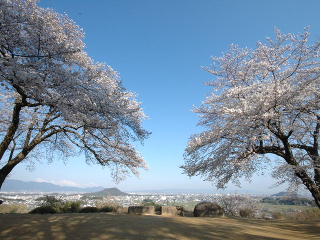 甘樫丘地区から見た大和三山_国営飛鳥歴史公園