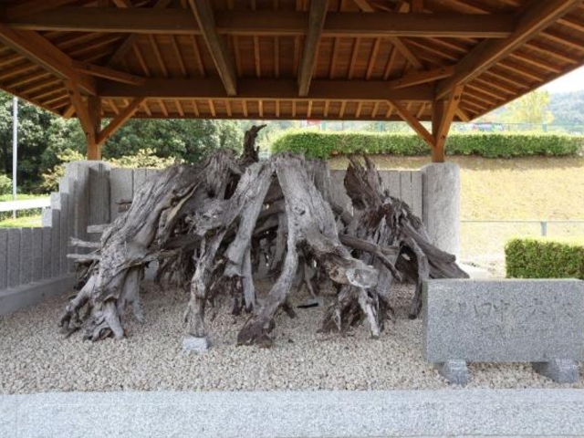 一本松郷土資料館の写真1