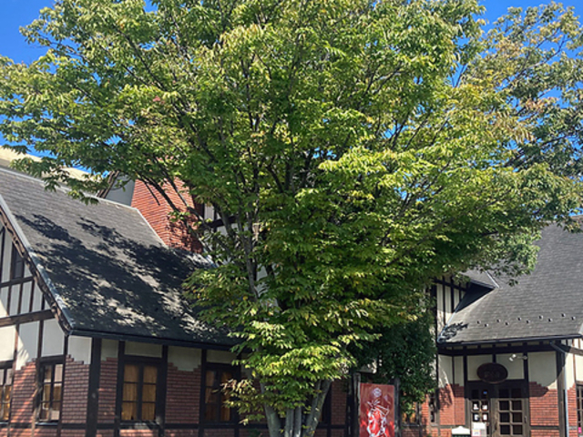 レストラン 葡萄屋 ぶどうやの写真1