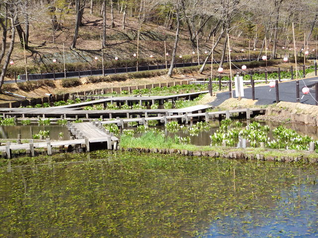 北山公園