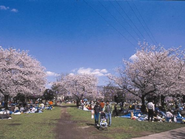 三ツ和公園