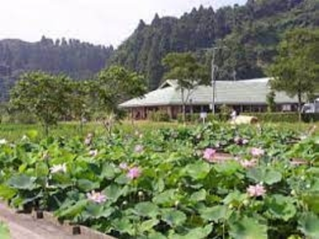 いすみ環境と文化のさとセンターの写真1