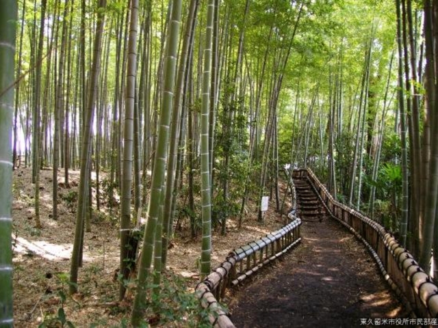 竹林公園_竹林公園