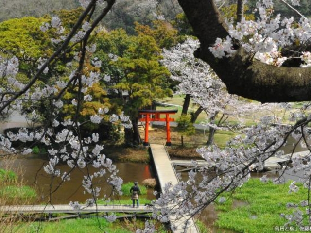 厳島湿生公園