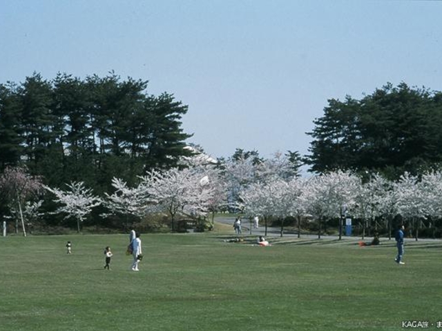 加賀市中央公園の写真1