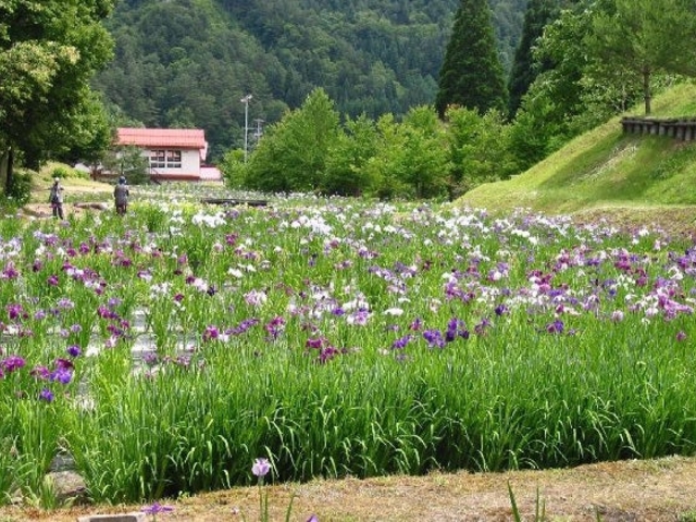 飛騨市森林公園の写真1