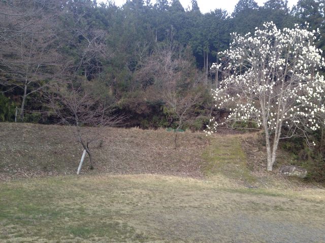 美薗公園
