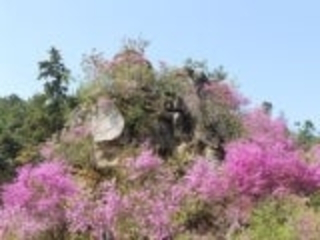 雲岩公園