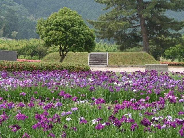 三ツ塚史跡公園