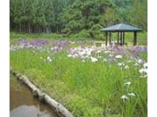 水源公園