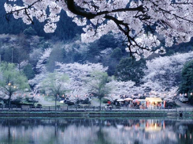 滝の宮公園