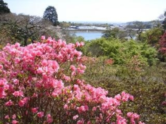 内原野公園の写真1