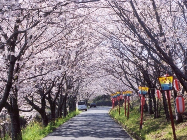 日の隈公園の写真1