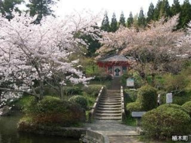 小野泉水公園の写真1