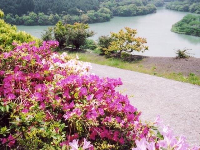 志岐ダム公園の写真1