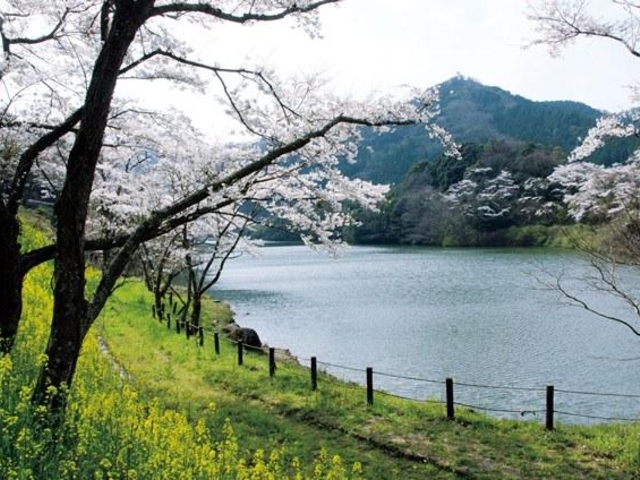 安岐ダムいこいの広場の写真1