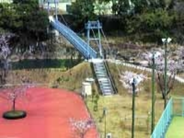 蜂之巣公園の写真1