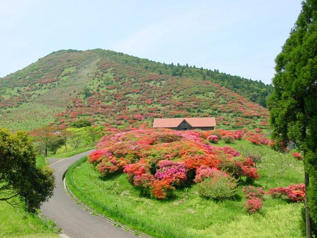 高峠つつじヶ丘公園