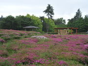 高崎自然の森の写真1