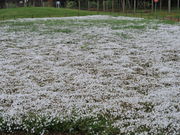 高崎自然の森の写真2