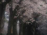 かしの森公園の写真1