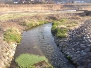 水辺公園(ジョイフルブルーパーク)の写真2