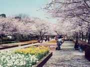 城山公園の写真1