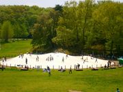 国営武蔵丘陵森林公園の写真3