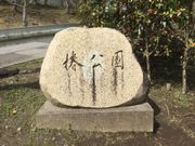 椿公園の写真3