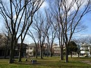 平間公園の写真1