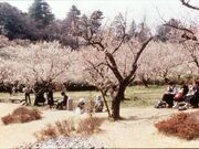 辻村植物公園の写真1