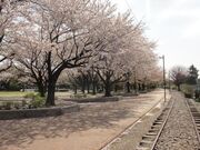 一之宮公園の写真2