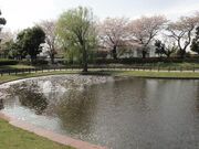 一之宮公園の写真3