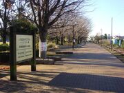 一之宮公園の写真4