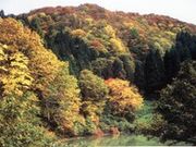 嘉例沢森林公園の写真1