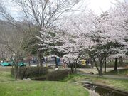シルクの里公園の写真2