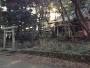 秋葉公園の写真2