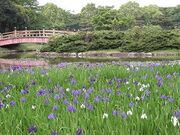 上野台公園の写真1