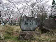 丹治桜公園の写真2