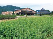 丹波市立薬草薬樹公園 リフレッシュ館の写真1